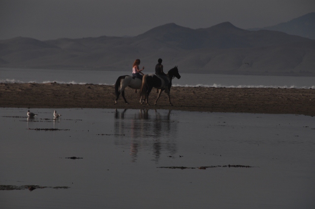 Morro Bay, horse-riding on beach